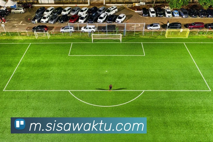 体育数据展示